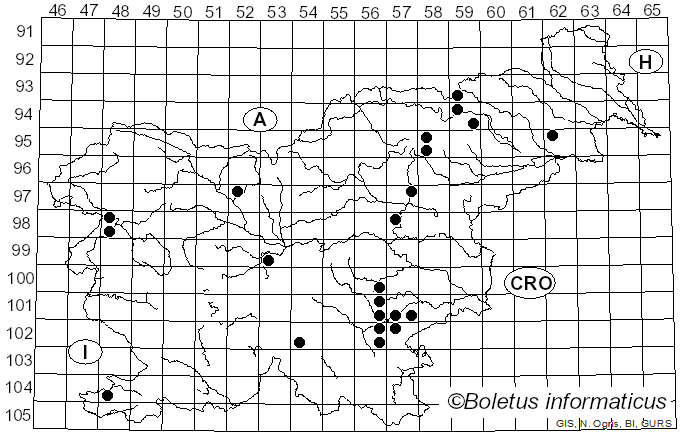 <i>Russula acetolens</i> Rauschert (1989)