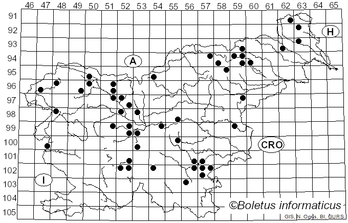 <i>Neoantrodia serialis</i> (Fr.) Audet (2017)