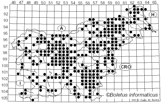 <i>Coprinus</i> Pers. (1797)