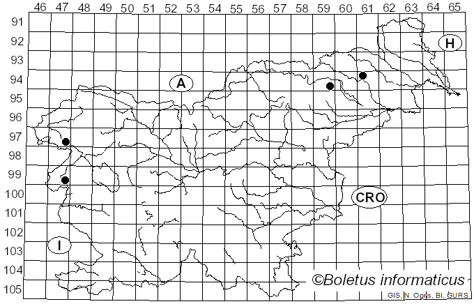 <i>Septobasidium</i> Pat. (1892)