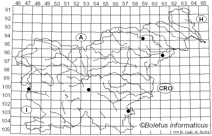 <i>Russula versatilis</i> Romagn. (1967)