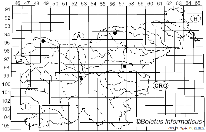 <i>Geastrum campestre</i> Morgan (1887)