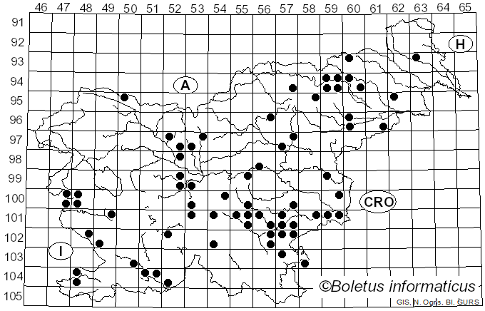 <i>Suillus placidus</i> (Bonord.) Singer (1945)