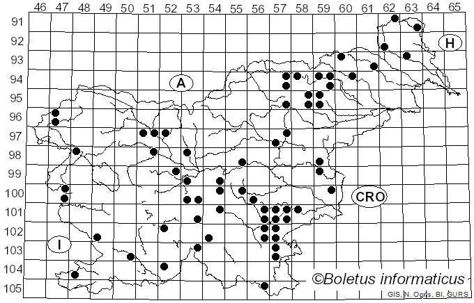 <i>Cortinarius cumatilis</i> Fr. (1838)