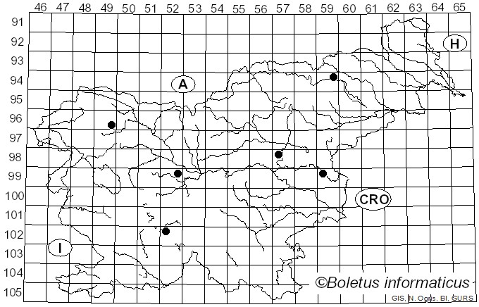 <i>Lepiota fuscovinacea</i> F.H. Møller & J.E. Lange (1940)