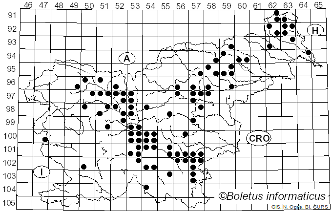 <i>Hygrophorus marzuolus</i> (Fr.) Bres. (1893)