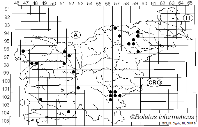 <i>Phlegmacium cliduchum</i> (Secr. ex Fr.) Niskanen & Liimat. (2022)