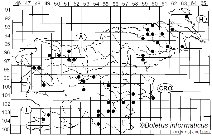 <i>Hyphodontia</i> J. Erikss. (1958)