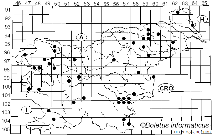 <i>Haematostereum</i> Pouzar (1959)