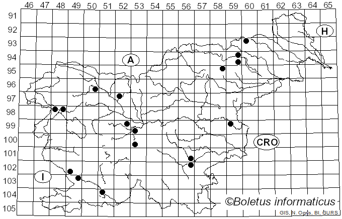 <i>Antrodia albida</i> (Fr.) Donk (1966)