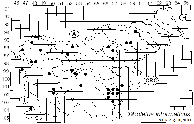 <i>Helvella macropus</i> (Pers.) P. Karst. (1871)