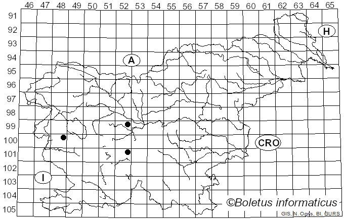 <i>Cladosporium cladosporioides</i> (Fresen.) G.A. de Vries (1952)