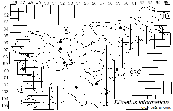 <i>Coryne atrovirens</i> (Pers.) Sacc. (1889)