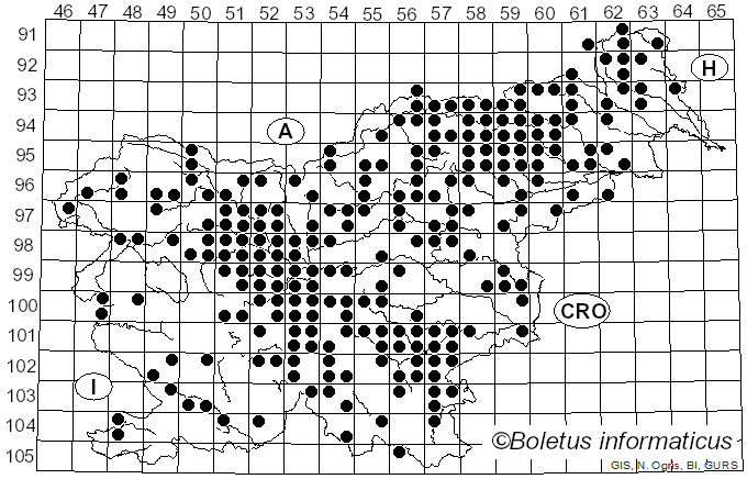 <i>Xerocomellus chrysenteron</i> (Bull.) Šutara (2008)