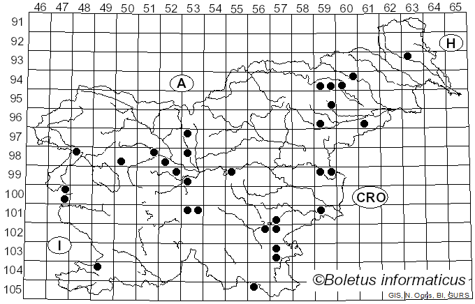 <i>Cyathus olla</i> (Batsch) Pers. (1801)