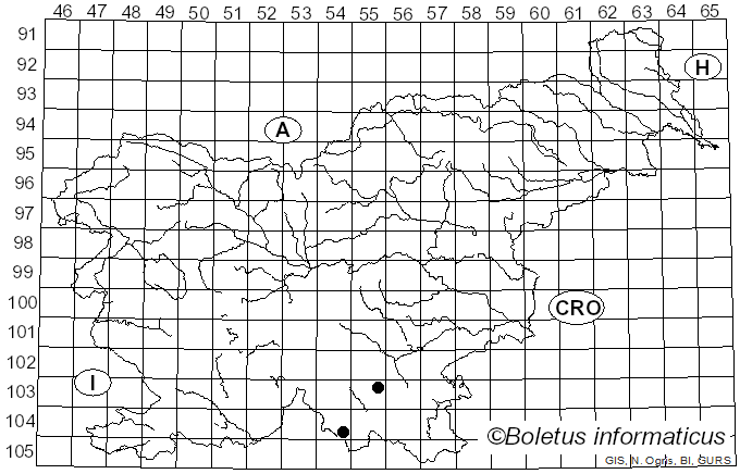 <i>Thelotrema suecicum</i> (H. Magn.) P. James (1977)