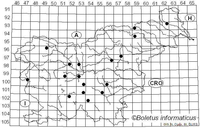 <i>Panaeolus sphinctrinus</i> (Fr.) Quél. (1872)