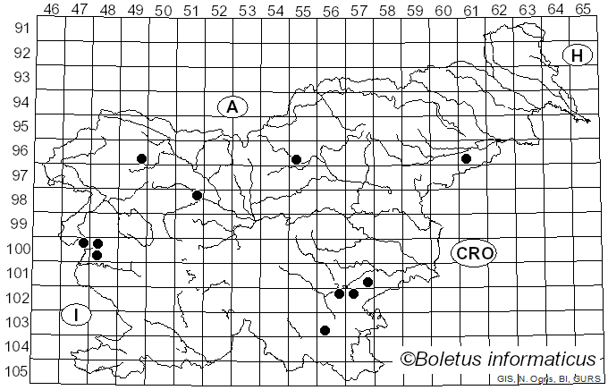 <i>Crepidotus autochthonus</i> J.E. Lange (1938)