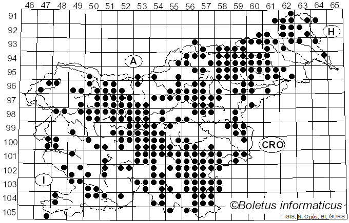 <i>Hypholoma fasciculare</i> (Huds.) Quél. (1871)