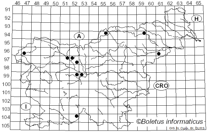 <i>Ciboria batschiana</i> (Zopf) N.F. Buchw. (1947)