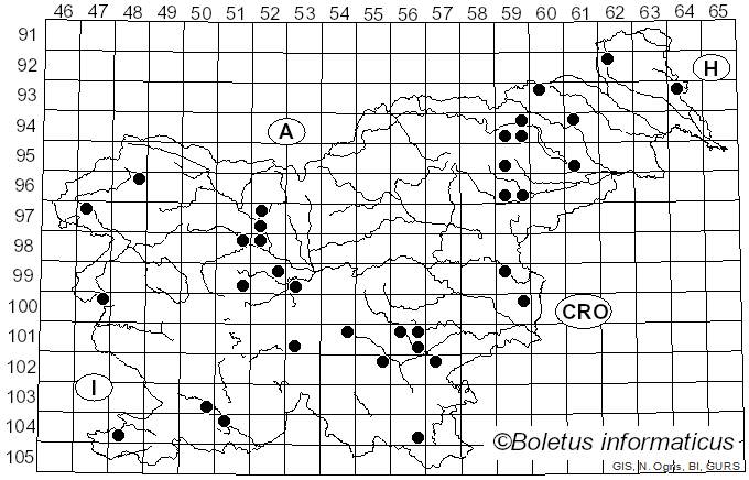 <i>Calonarius elegantissimus</i> (Rob. Henry) Niskanen & Liimat. (2022)