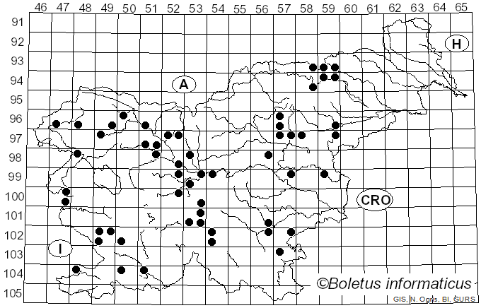 <i>Hygrocybe chlorophana</i> (Fr.) Wünsche (1877)