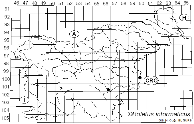 <i>Cerambyx cerdo</i> Linnaeus (1758)