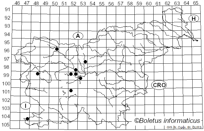 <i>Taphrina pruni</i> Tul. (1866)