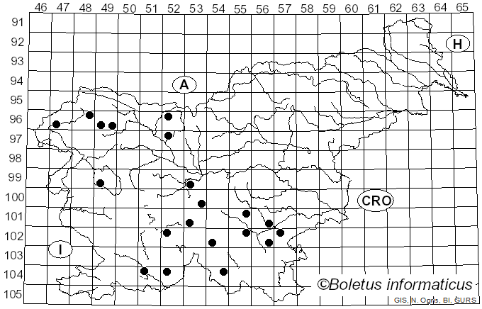 <i>Cortinarius venetus</i> var. <i>montanus</i> M.M. Moser (1970)