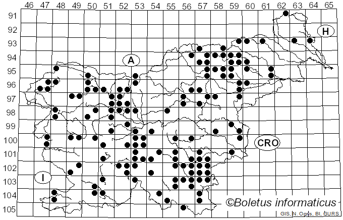 <i>Pycnoporus</i> P. Karst. (1881)