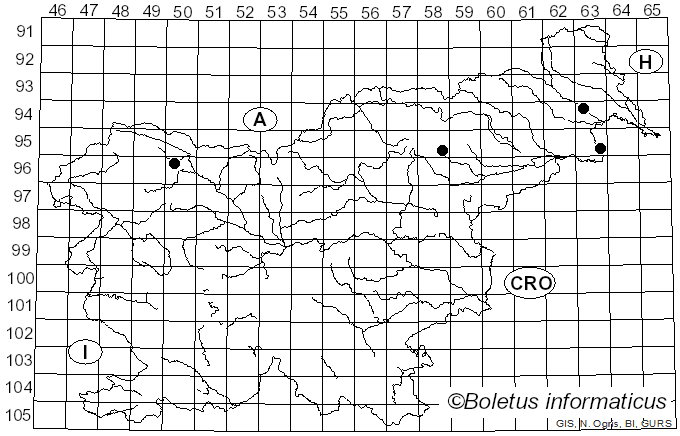 <i>Patinellaria</i> P. Karst. (1885)