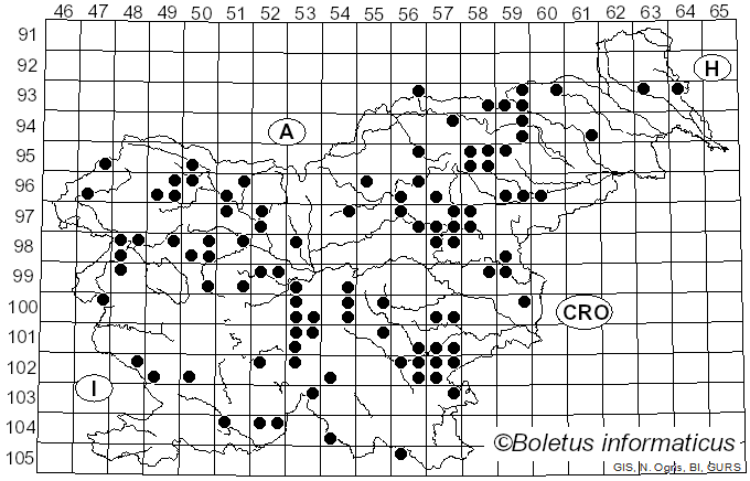 <i>Clitocybe fasciculata</i> H.E. Bigelow & A.H. Sm. (1969)