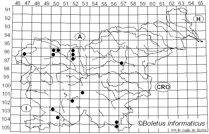 <i>Phaeotremella</i> Rea (1912)