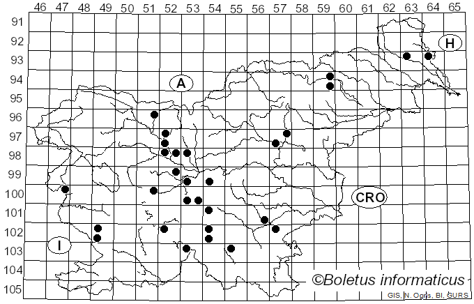 <i>Pulveroboletus</i> Murrill (1909)