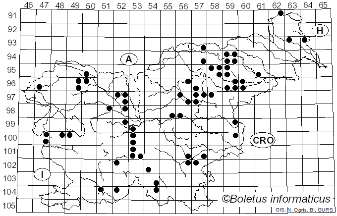 <i>Pholiota astragalina</i> (Fr.) Singer (1951)