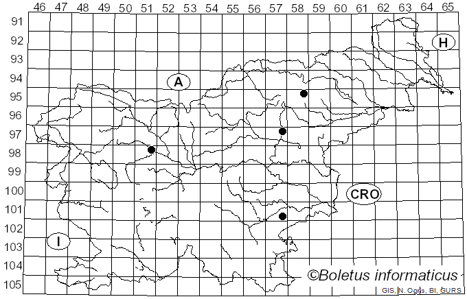 <i>Mycena clavicularis</i> (Fr.) Gillet (1874)