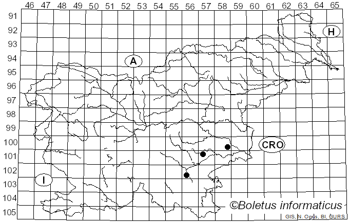 <i>Prosthecium pyriforme</i> Jaklitsch & Voglmayr (2008)
