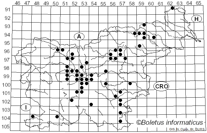 <i>Rhizopogon roseolus</i> (Corda) Th. Fr. (1909)