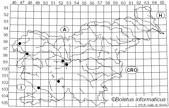 <i>Peniophora pini</i> (Schleich.) Boidin (1956)