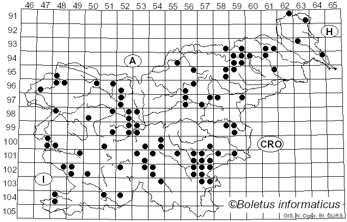 <i>Hebeloma crustuliniforme</i> (Bull.) Quél. (1872)