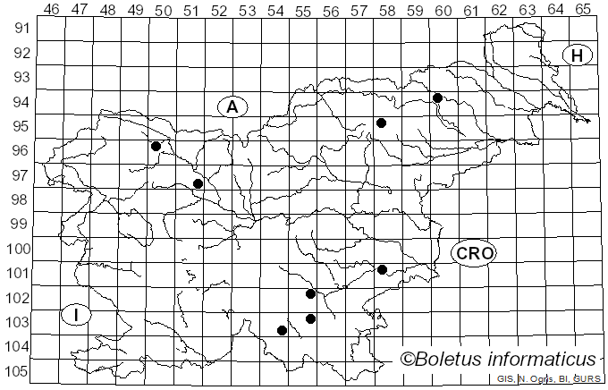 <i>Hypochnicium</i> J. Erikss. (1958)