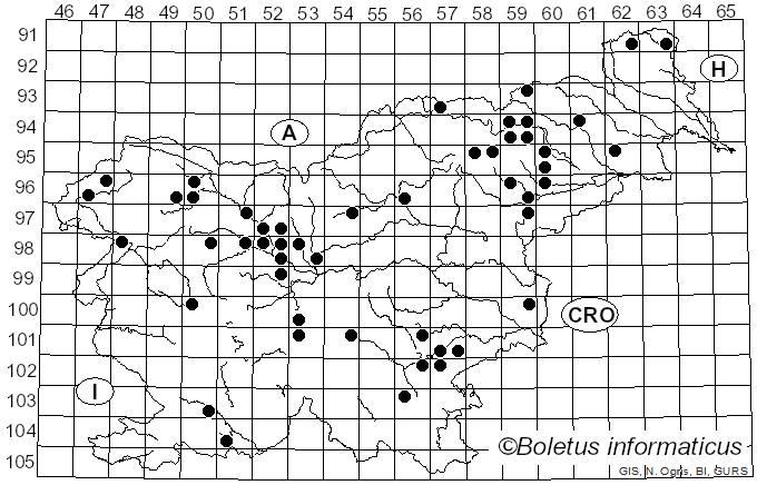 <i>Ampulloclitocybe</i> Redhead, Lutzoni, Moncalvo & Vilgalys (2002)