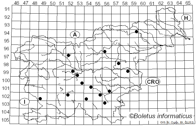 <i>Lactarius citriolens</i> Pouzar (1968)