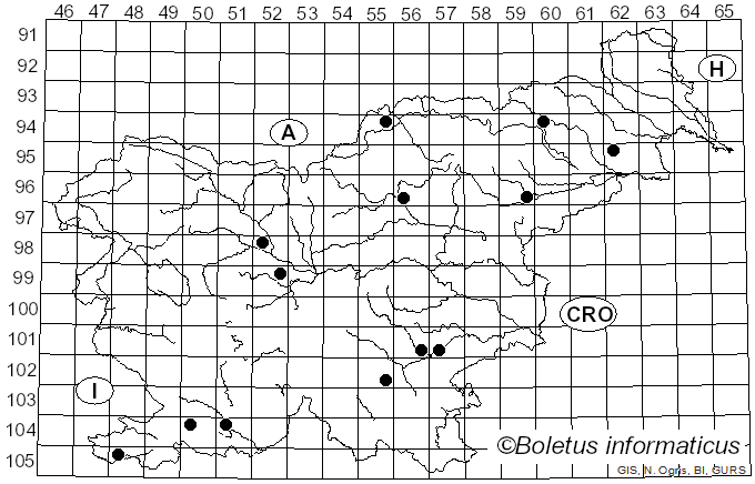 <i>Irpiciporus pachyodon</i> (Pers.) Kotl. & Pouzar (1957)