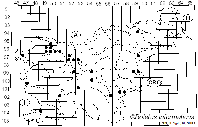 <i>Typhula</i> (Pers.) Fr. (1818)