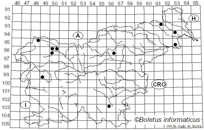 <i>Mycoacia</i> Donk (1931)