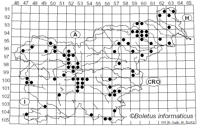 <i>Tubaria</i> (W.G. Sm.) Gillet (1876)