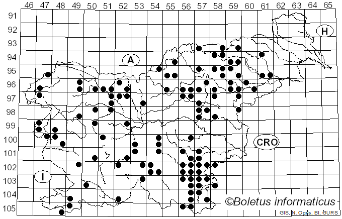 <i>Caloboletus</i> Vizzini (2014)