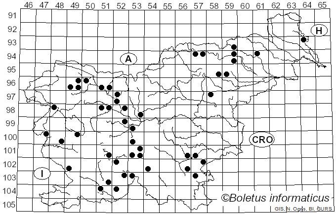 <i>Hygrophorus capreolarius</i> Kalchbr.
