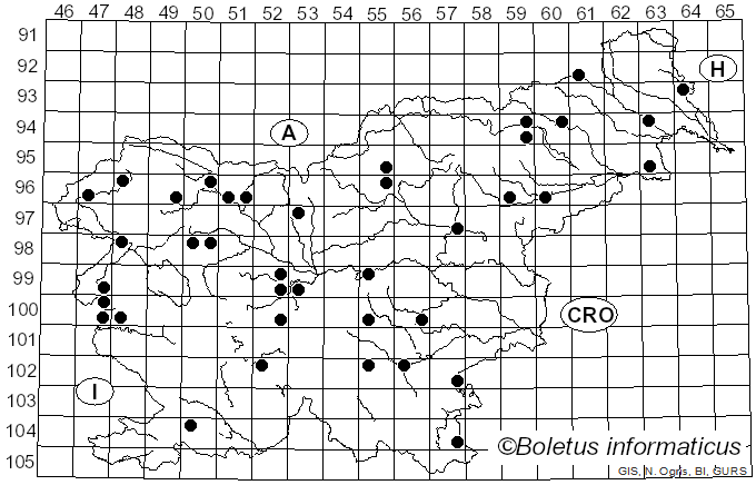 <i>Diatrypella</i> (Ces. & De Not.) De Not. (1863)